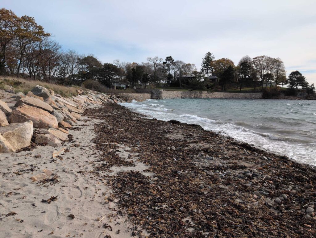 a rocky beach with a body of water and trees in the background (MyCoast AI)
