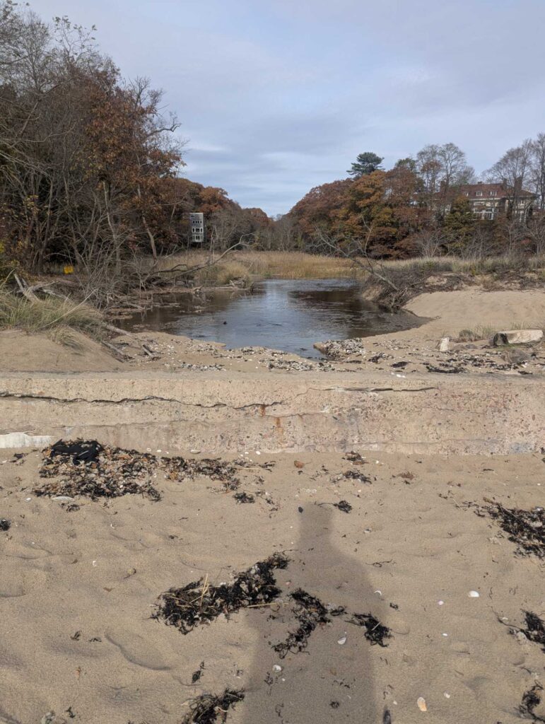 a small pond in a dirt field (MyCoast AI)