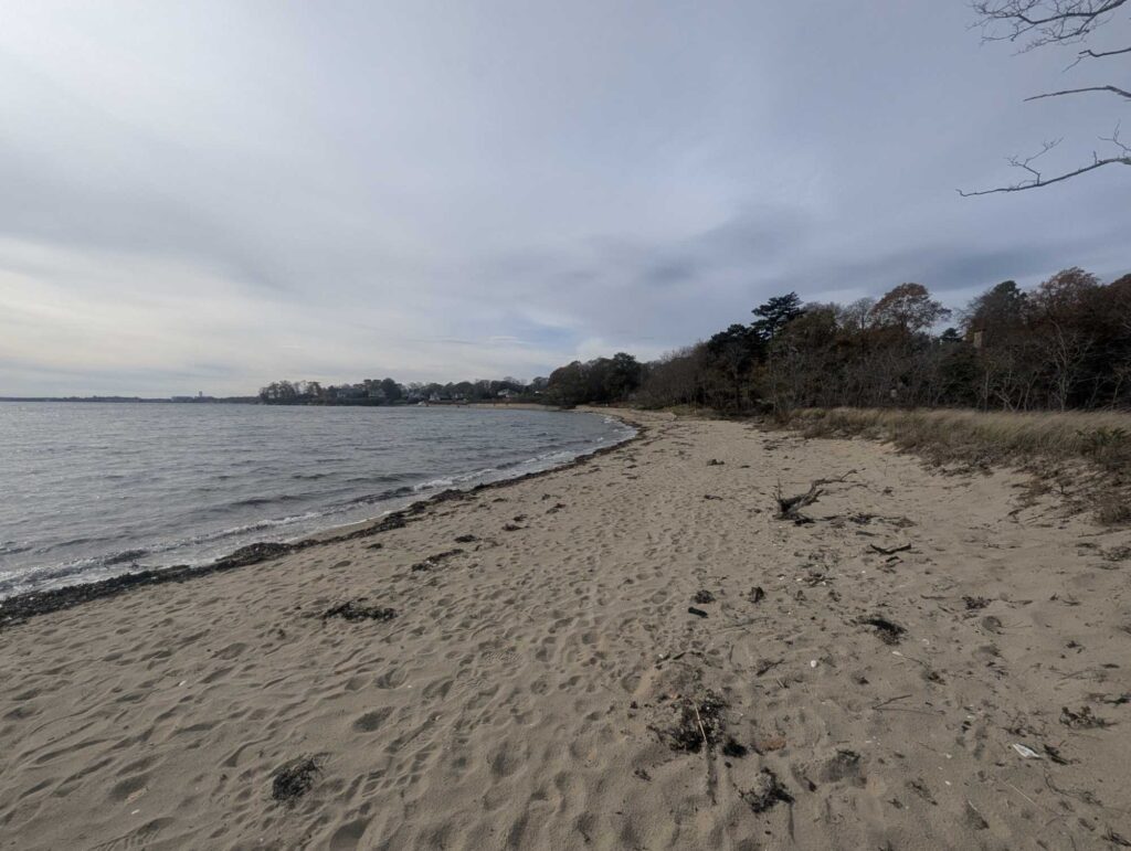 a sandy beach with trees and water (MyCoast AI)