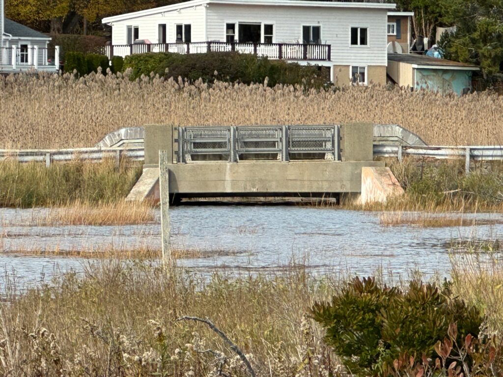 a flooded area with a house in the background (MyCoast AI)