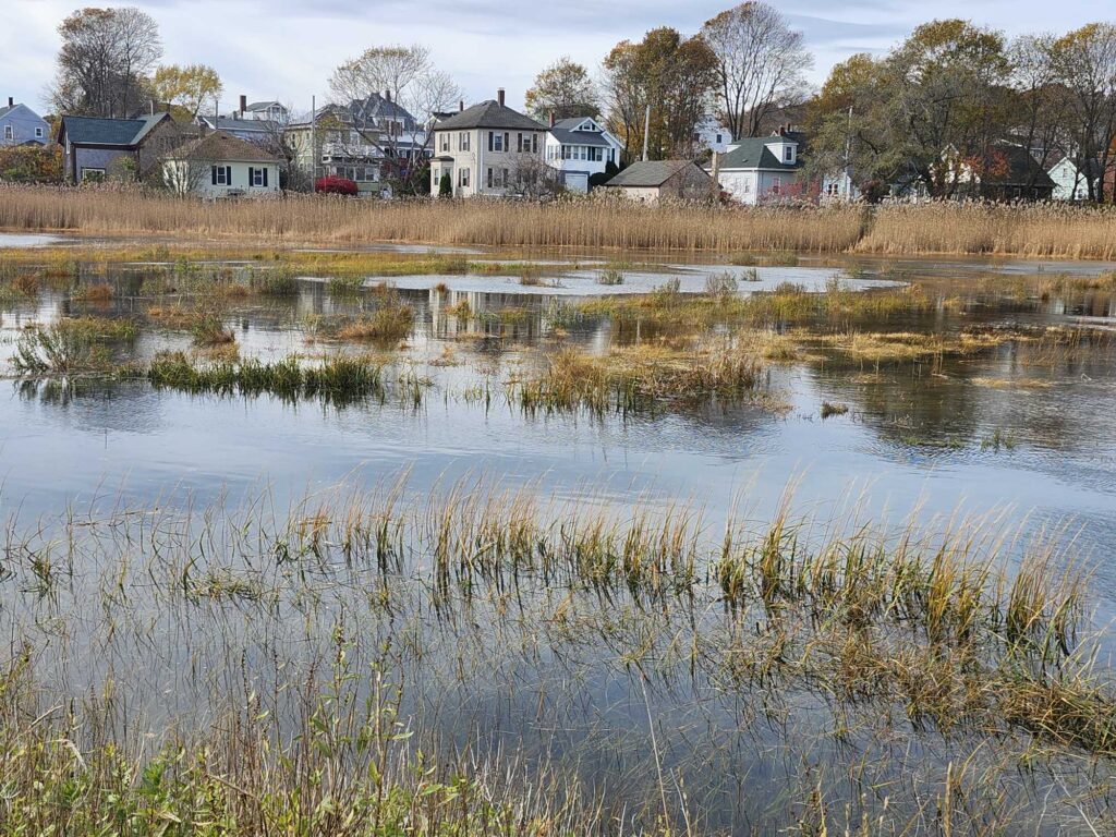 a body of water with houses in the background (MyCoast AI)