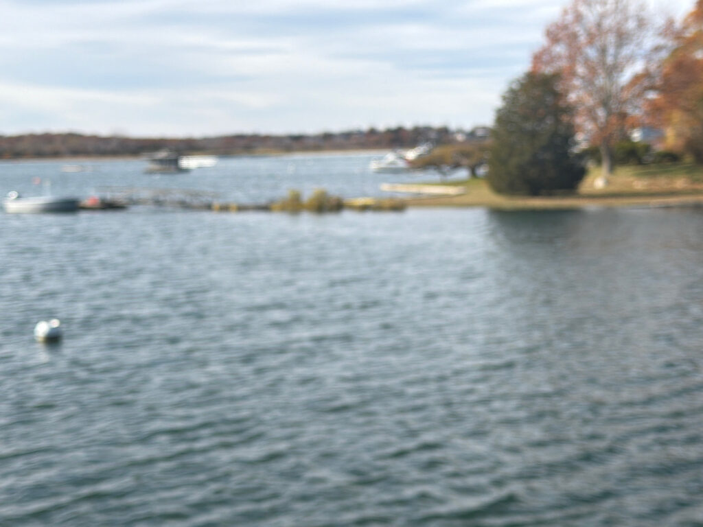 a body of water with boats in it and trees in the back (MyCoast AI)