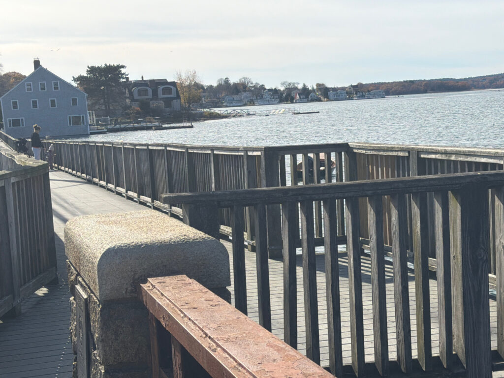 a bridge over a body of water (MyCoast AI)