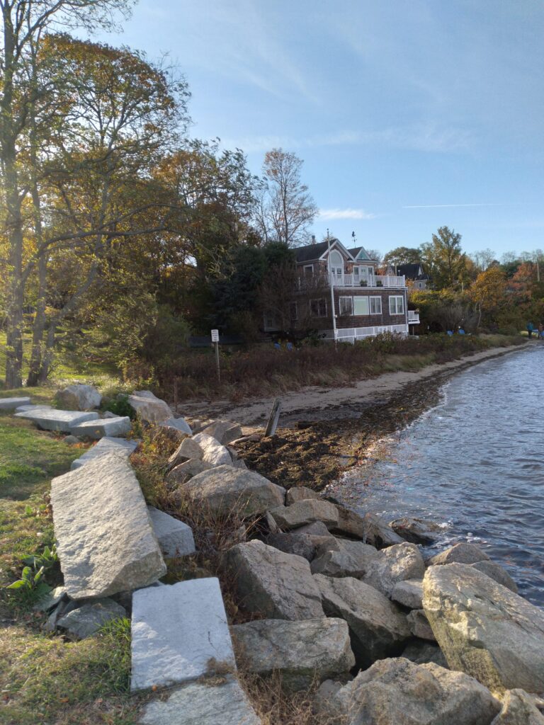 a river with rocks and grass by it (MyCoast AI)