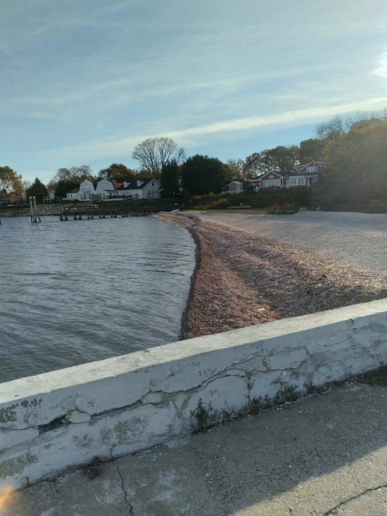 a beach with houses along it (MyCoast AI)