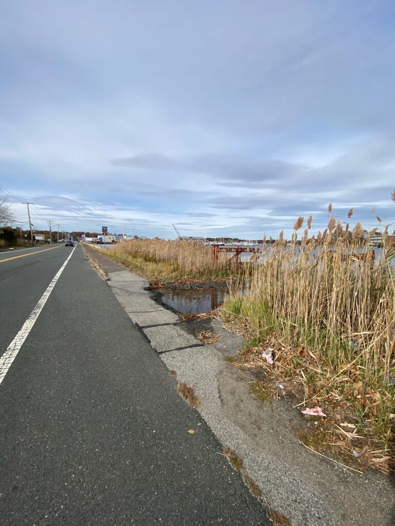 a road with a puddle on the side (MyCoast AI)