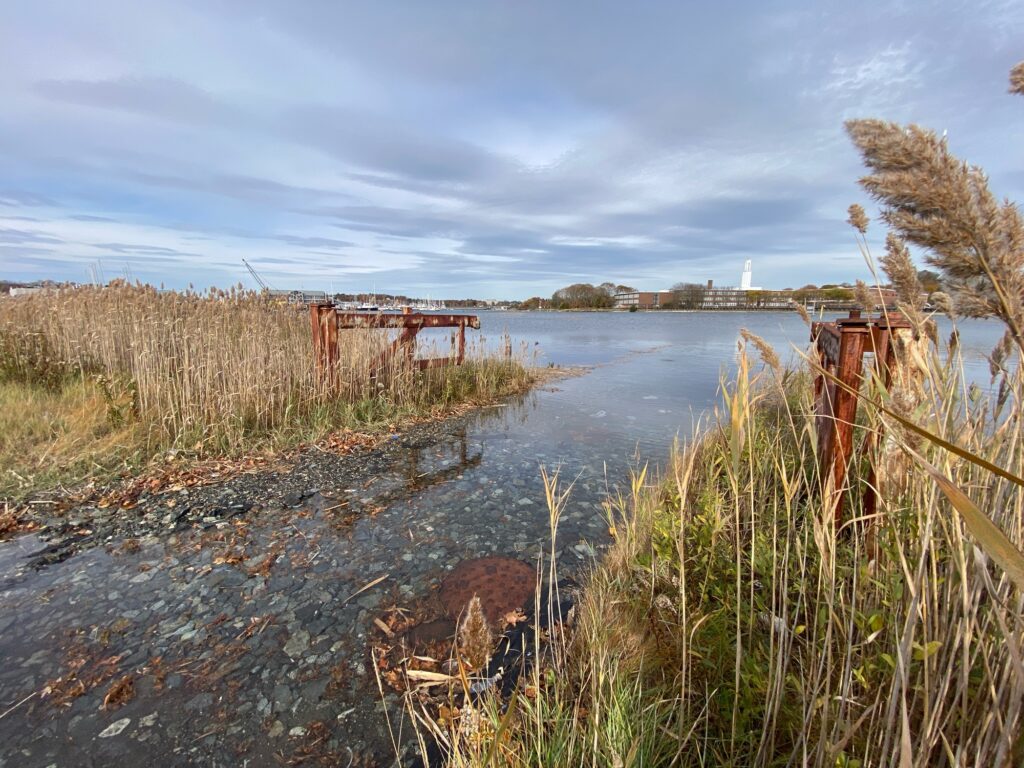 a body of water with grass and a bridge in the distance (MyCoast AI)