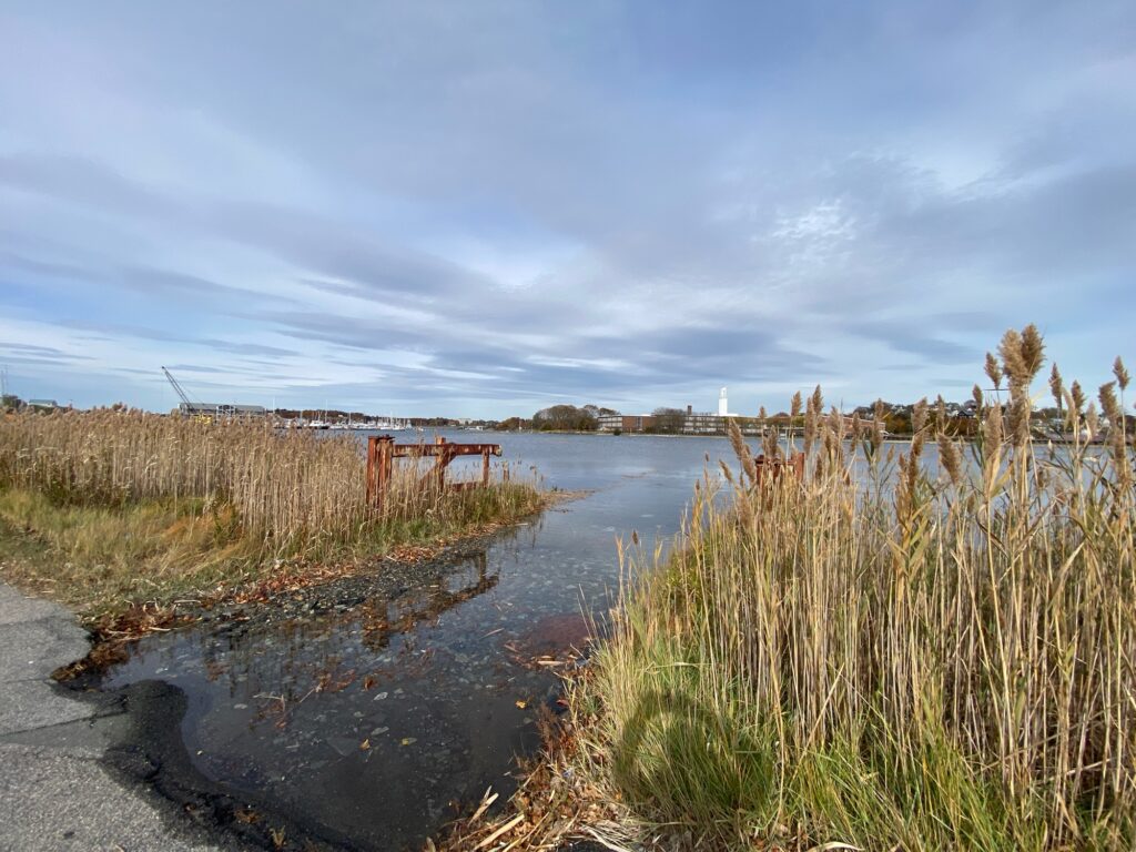 a small river with grass and trees (MyCoast AI)
