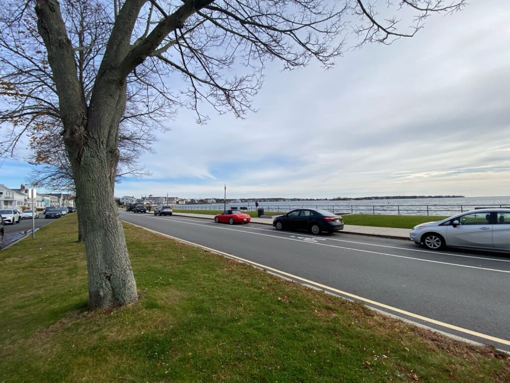 cars on a road (MyCoast AI)