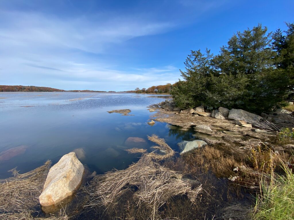 a body of water with rocks and trees around it (MyCoast AI)
