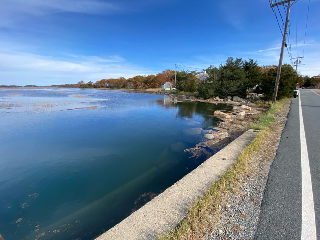 a road next to a body of water (MyCoast AI)