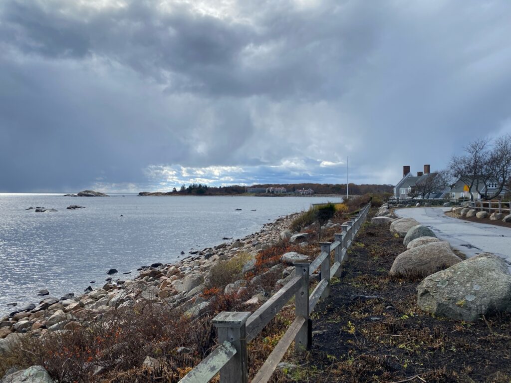 a bench overlooking a body of water (MyCoast AI)