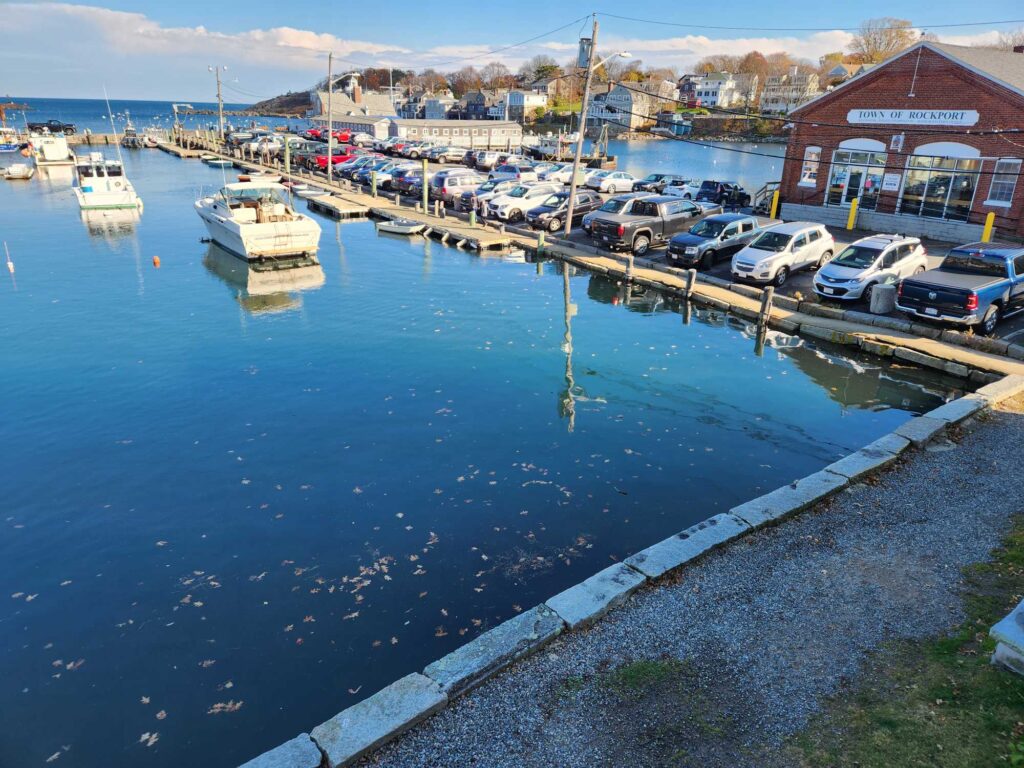 a marina full of boats (MyCoast AI)