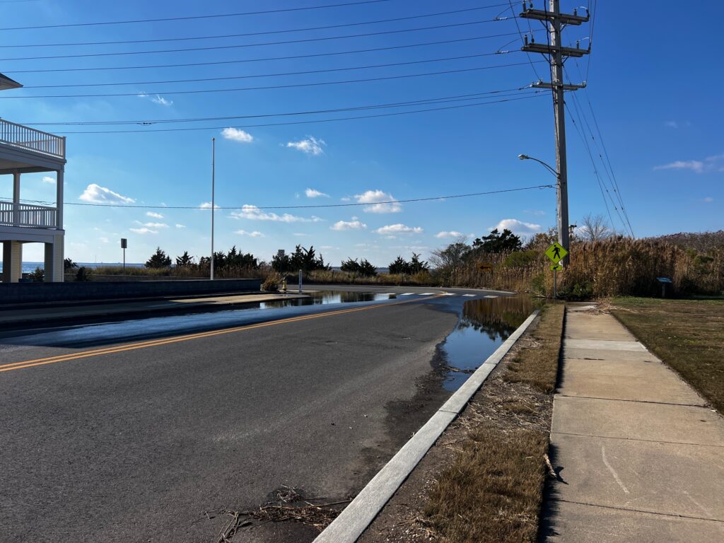 a road with water on the side (MyCoast AI)