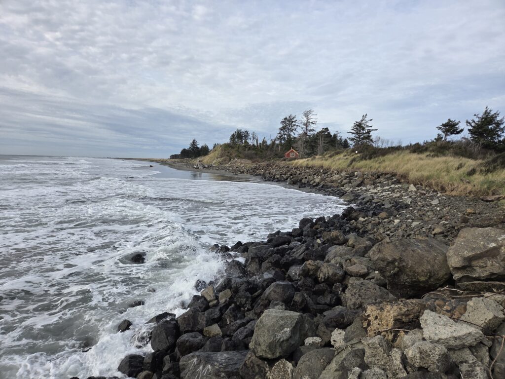 a rocky beach with trees and a house in the background (MyCoast AI)