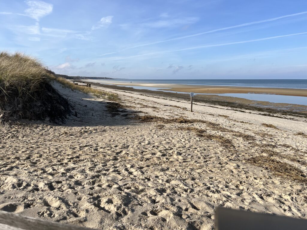 a sandy beach with grass and sand (MyCoast AI)
