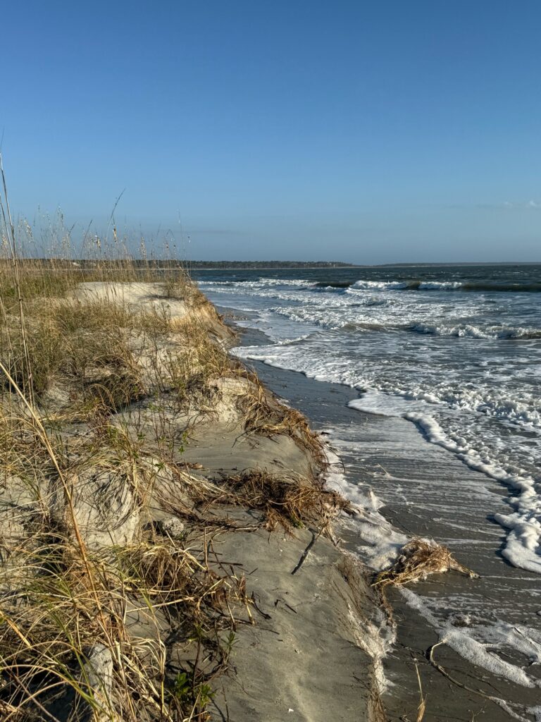 a beach with waves crashing on it (MyCoast AI)