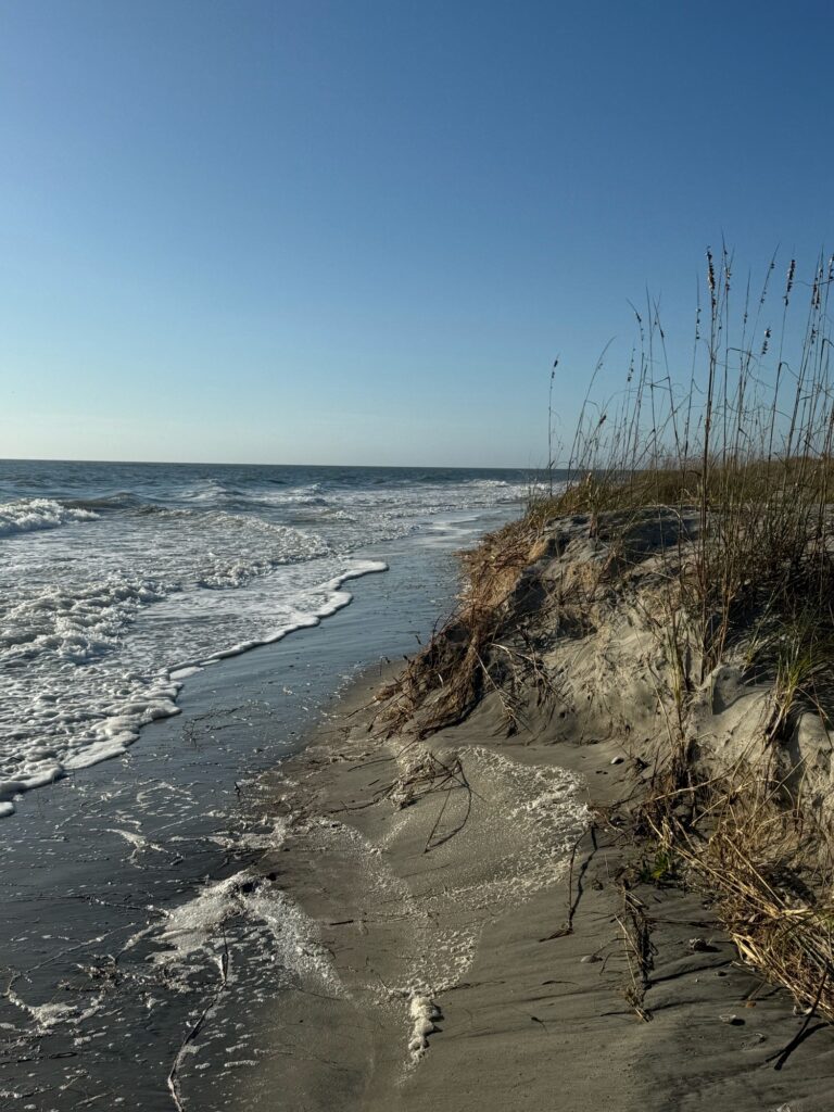 a beach with waves crashing on it (MyCoast AI)