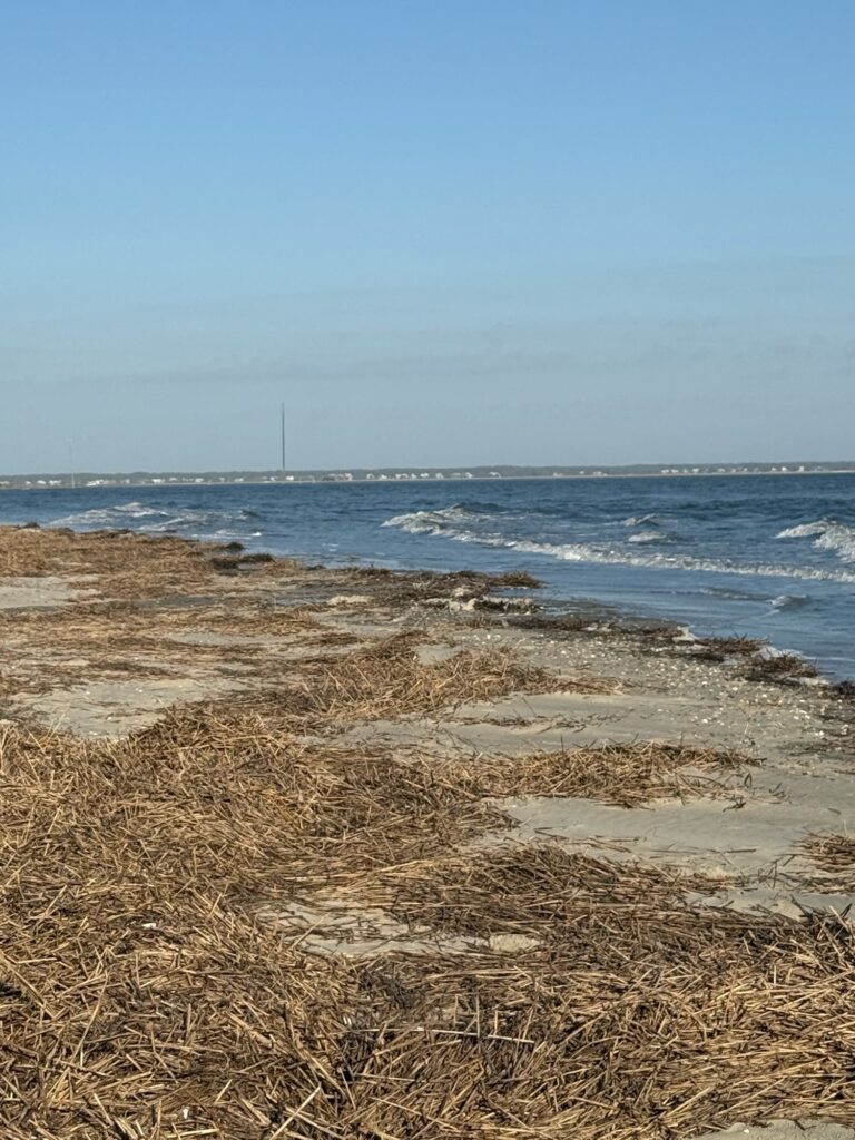 a beach with waves crashing (MyCoast AI)