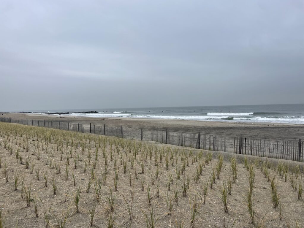 a beach with a fence and plants (MyCoast AI)