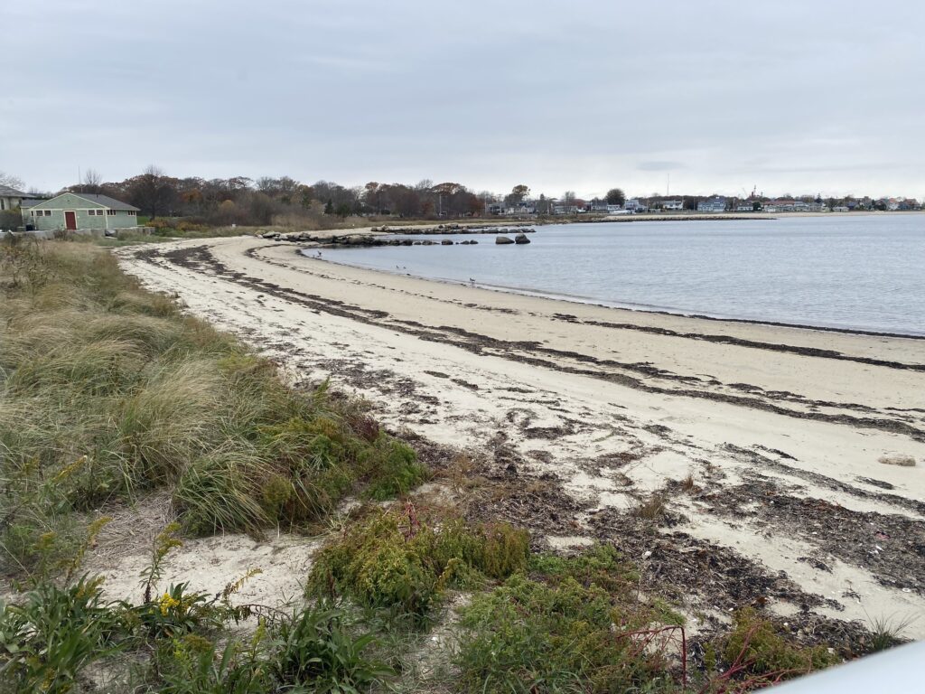 a beach with a body of water (MyCoast AI)