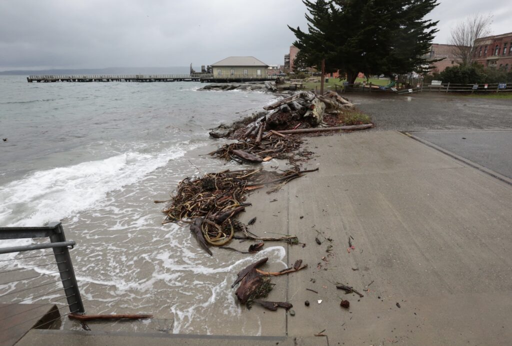 a pile of debris on a beach (MyCoast AI)