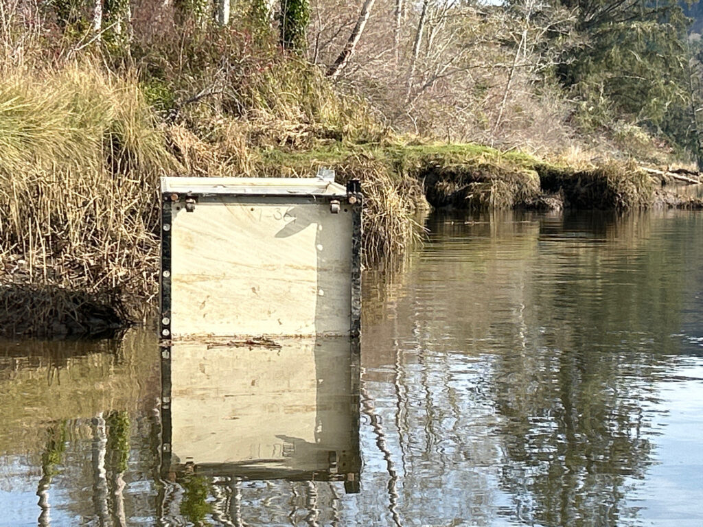 a wooden box in a pond (MyCoast AI)