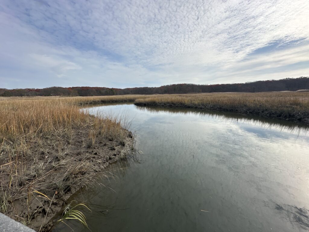 a body of water with grass and trees around it (MyCoast AI)