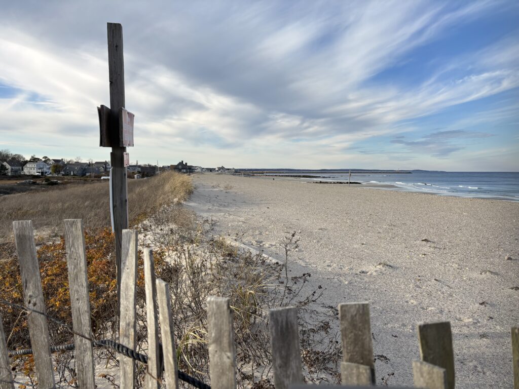 a beach with a fence (MyCoast AI)