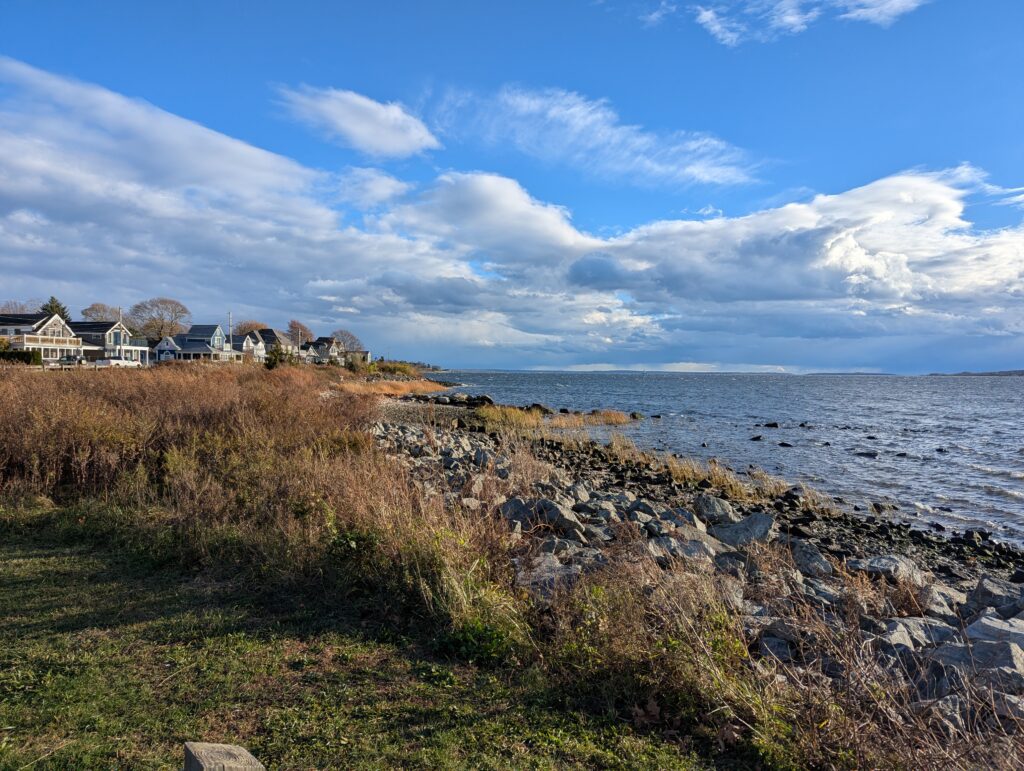 a grassy area next to a body of water (MyCoast AI)