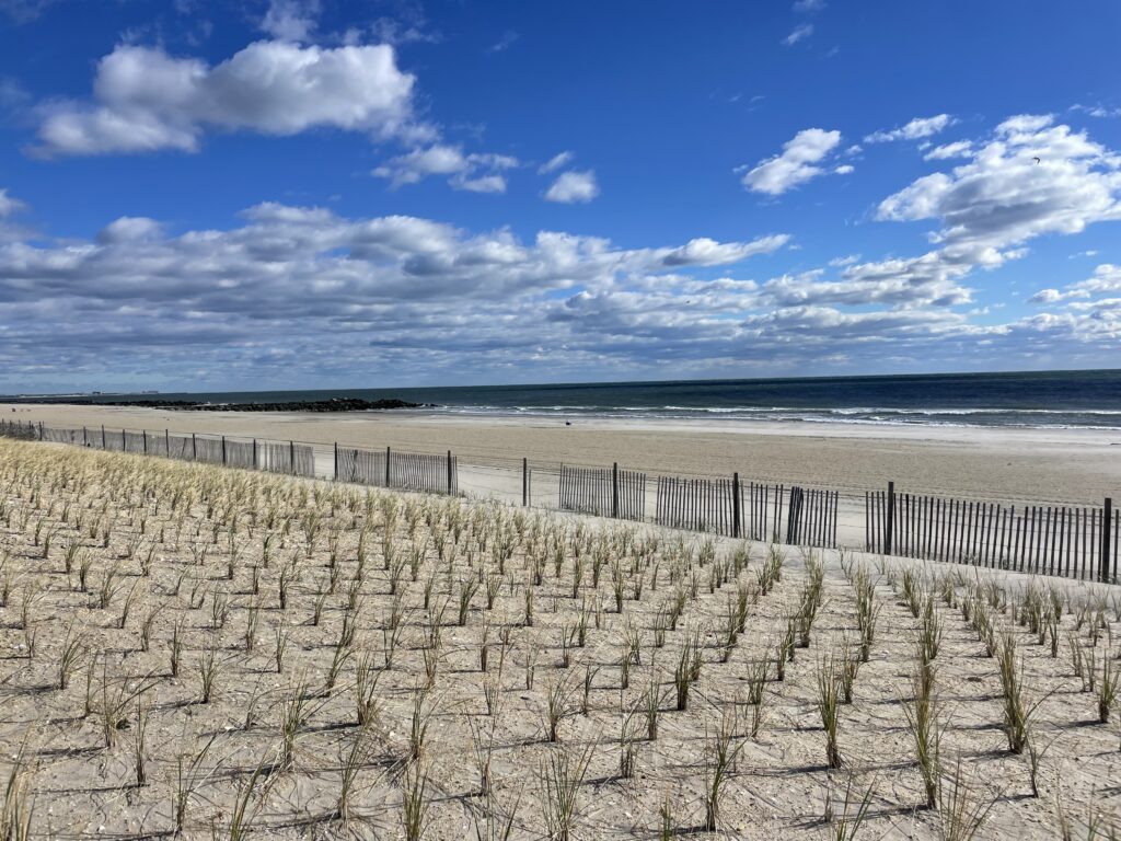 a sandy beach with a fence (MyCoast AI)