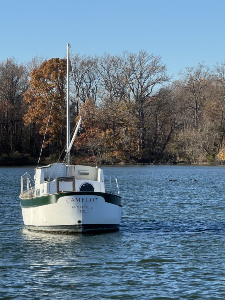 a boat on the water (MyCoast AI)