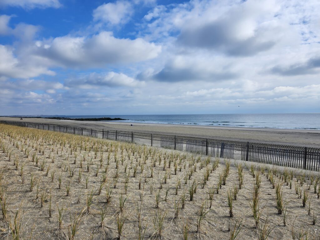 a beach with sand and water (MyCoast AI)
