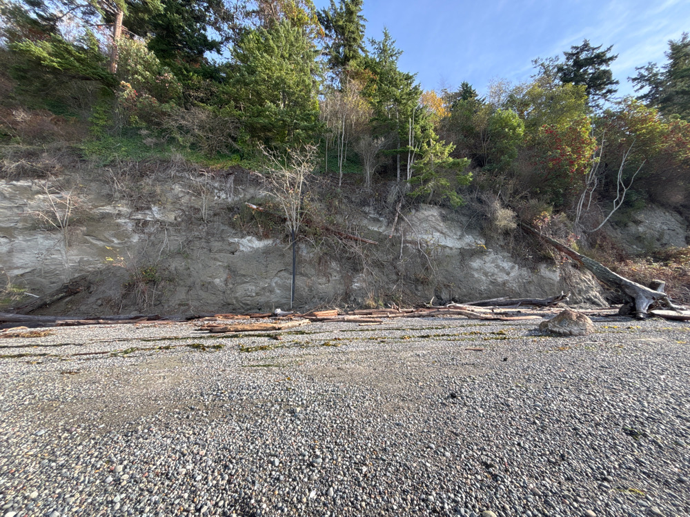 a rocky area with trees in the background (MyCoast AI)