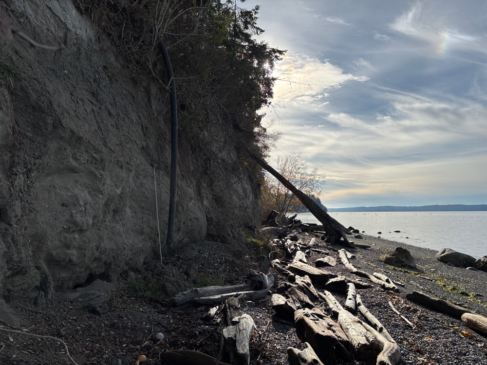 a rocky beach with a large rock wall and a tree (MyCoast AI)