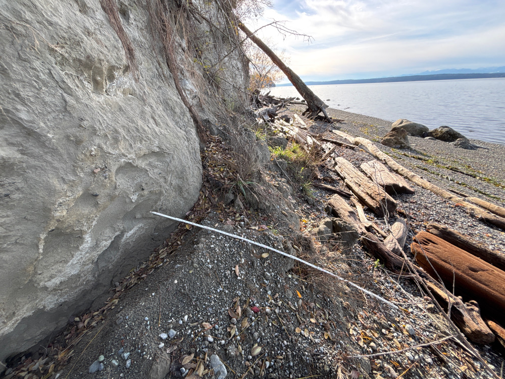 a rocky beach with a stream (MyCoast AI)