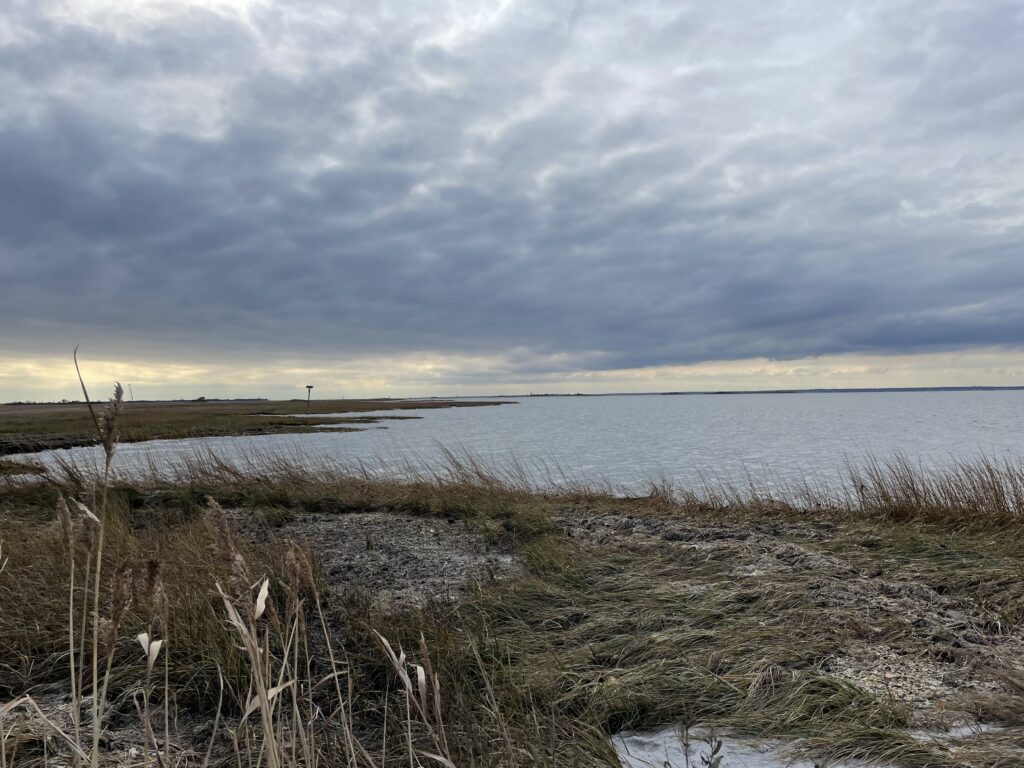 a body of water with grass and snow on the side (MyCoast AI)