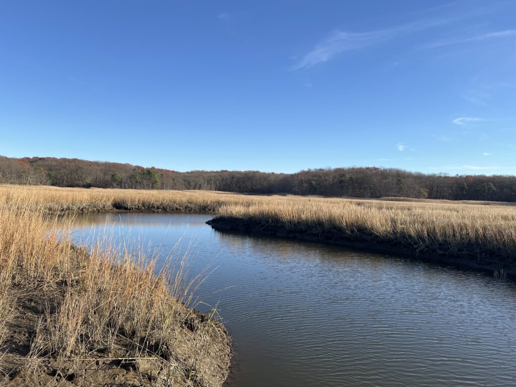 a river with grass and trees (MyCoast AI)