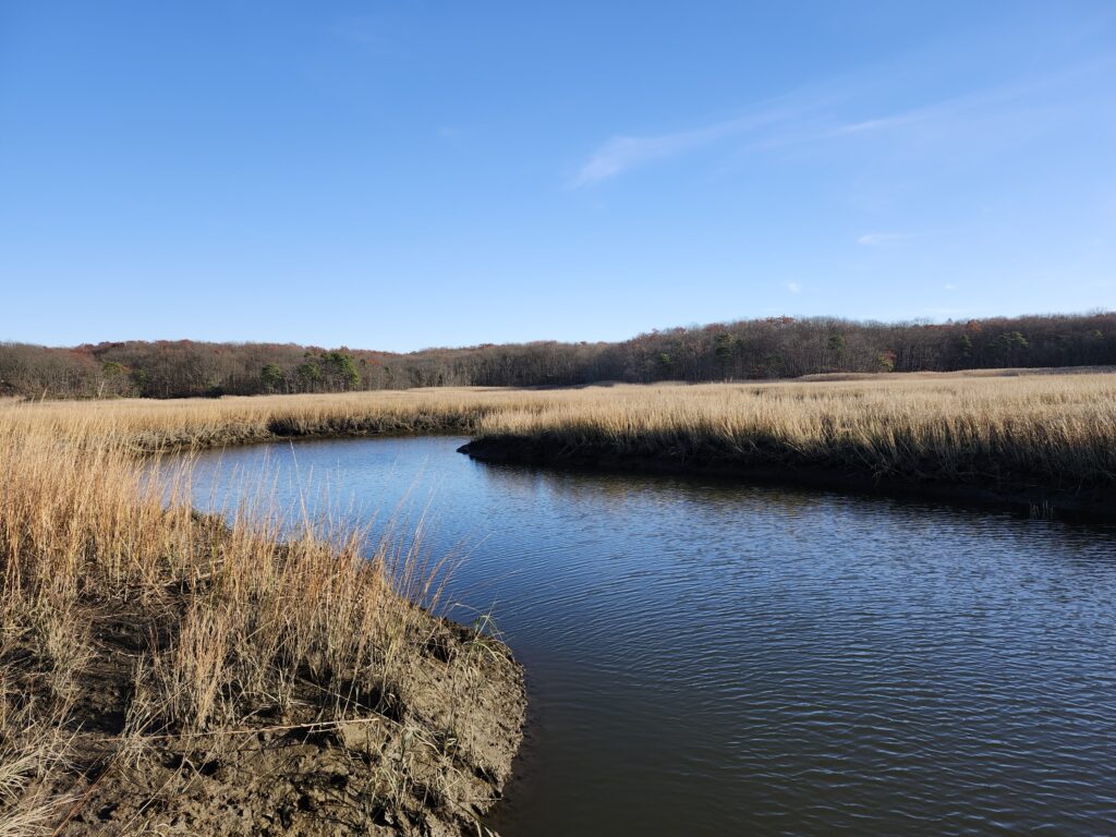 a body of water with grass and trees around it (MyCoast AI)