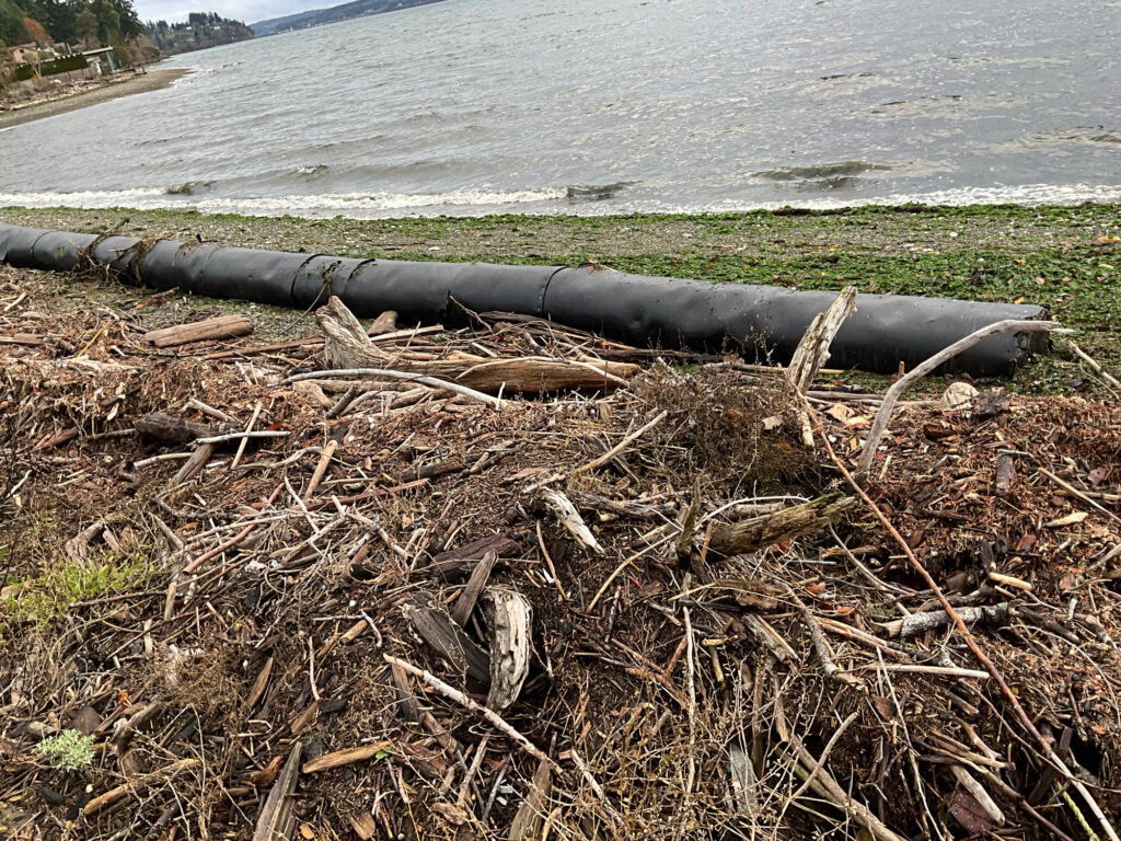 a pipe in the ground (MyCoast AI)