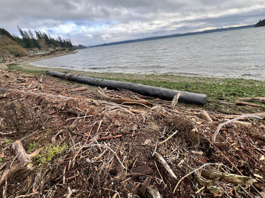 a large pipe in the ground by a beach (MyCoast AI)
