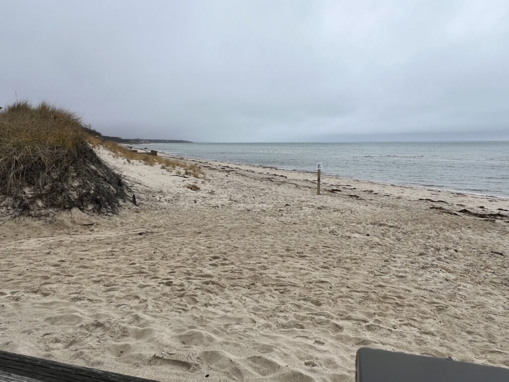 a sandy beach with a fence (MyCoast AI)