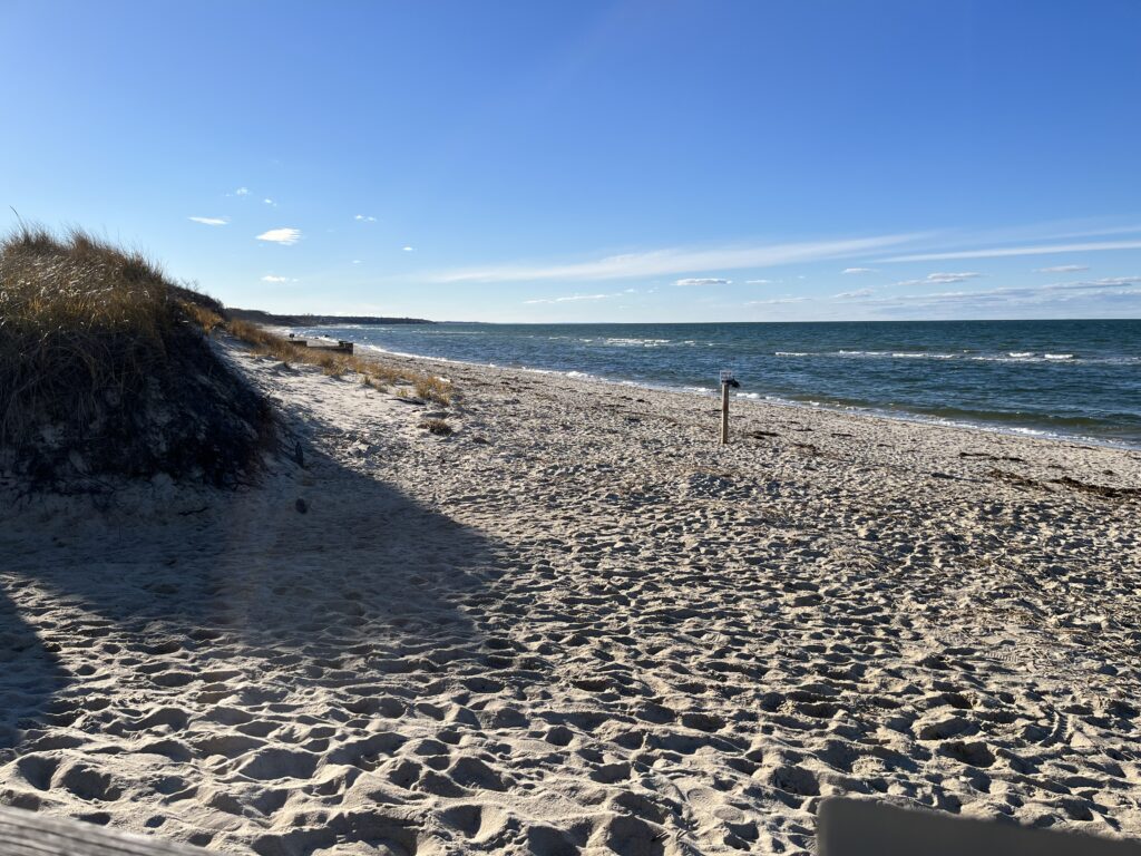 a sandy beach with a fence (MyCoast AI)