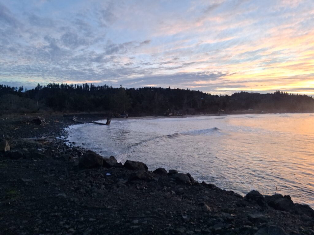 a rocky shore with trees and a body of water in the background (MyCoast AI)
