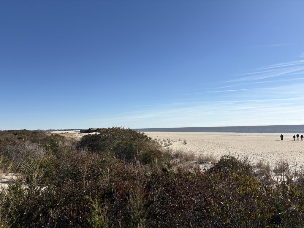 a sandy beach with bushes and trees (MyCoast AI)