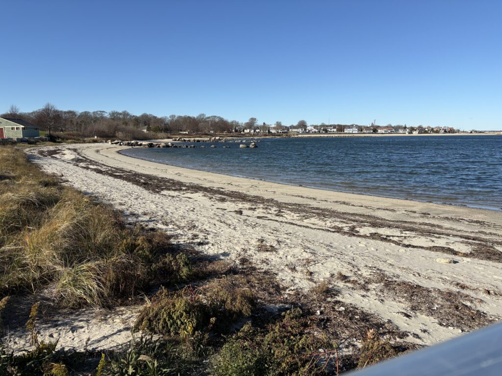a beach with a body of water (MyCoast AI)