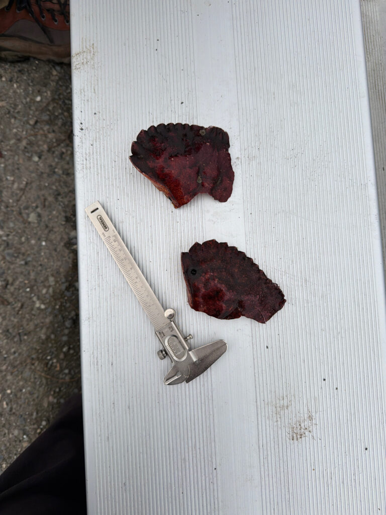a knife and a piece of meat on a cutting board (MyCoast AI)