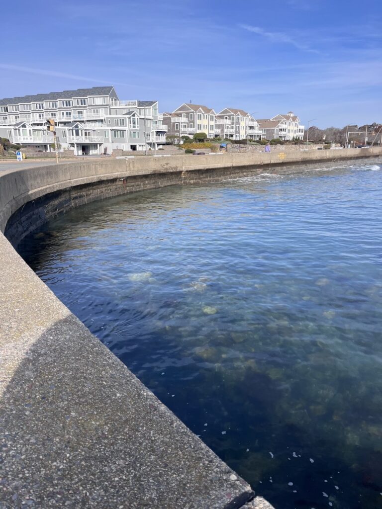a body of water with buildings along it (MyCoast AI)