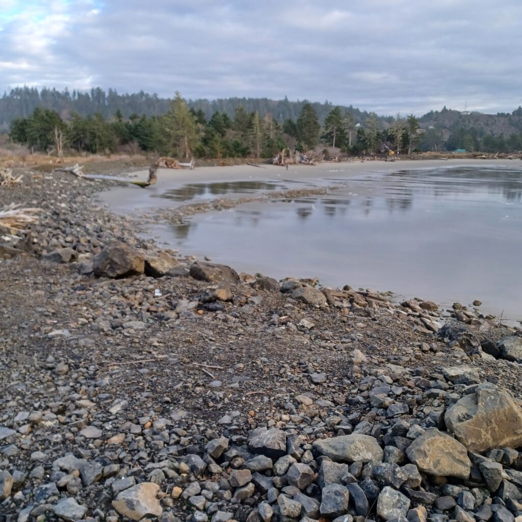 a rocky shore with a body of water and trees in the background (MyCoast AI)