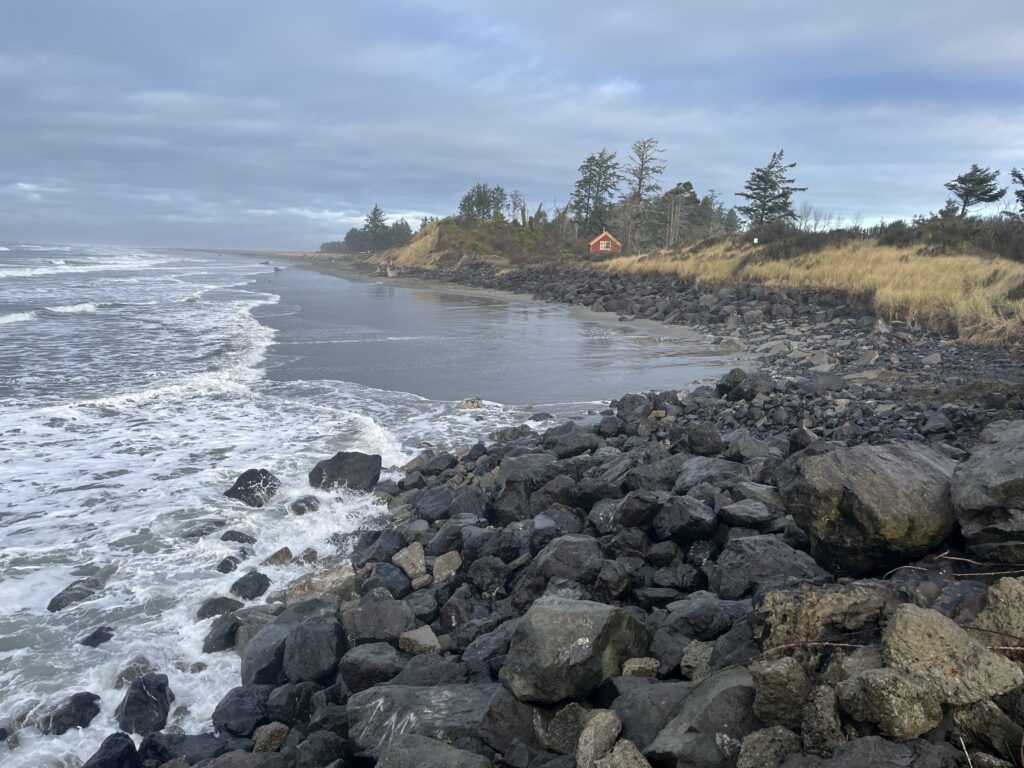 a rocky beach with trees and water (MyCoast AI)
